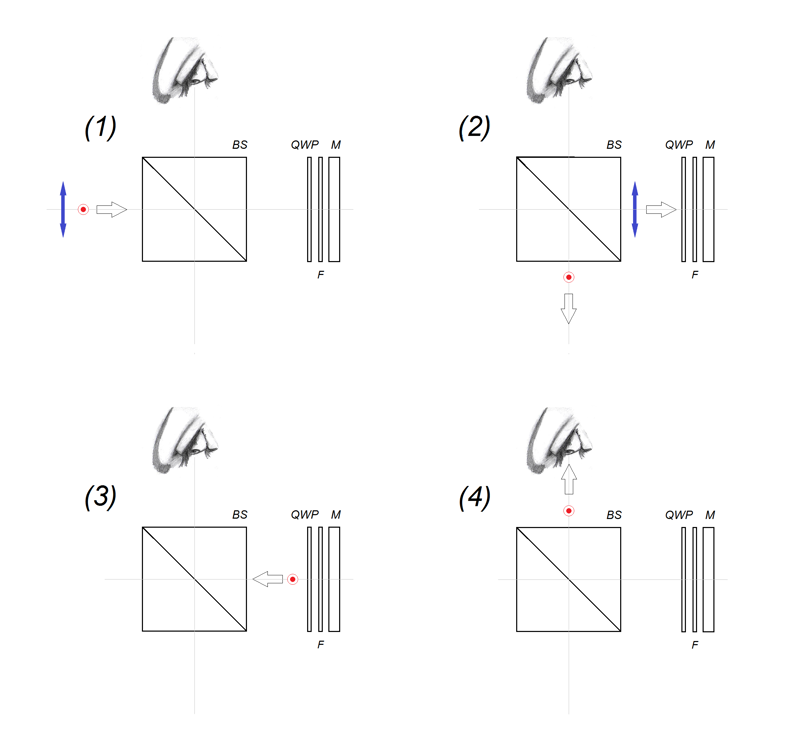 pol cube beamsplitter - double pass - pt2_siz.png