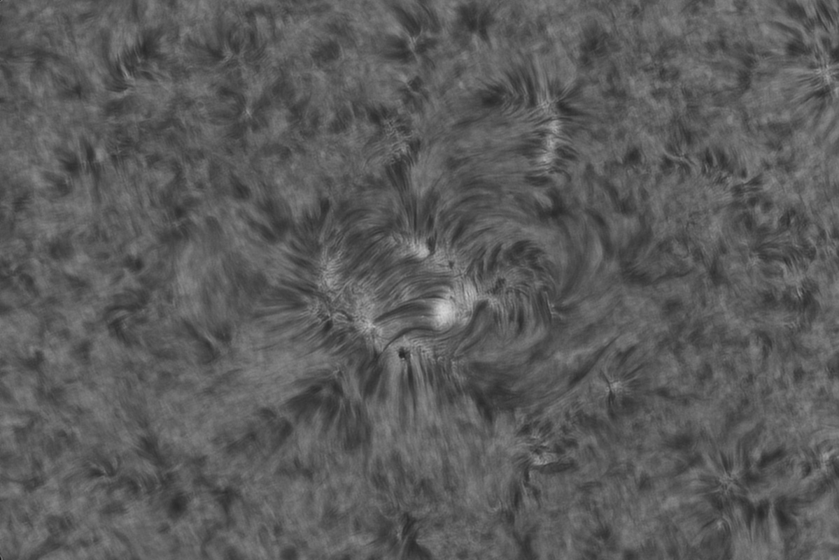 AI PS 08_57_30_Solar_F1000_ap2645.jpg