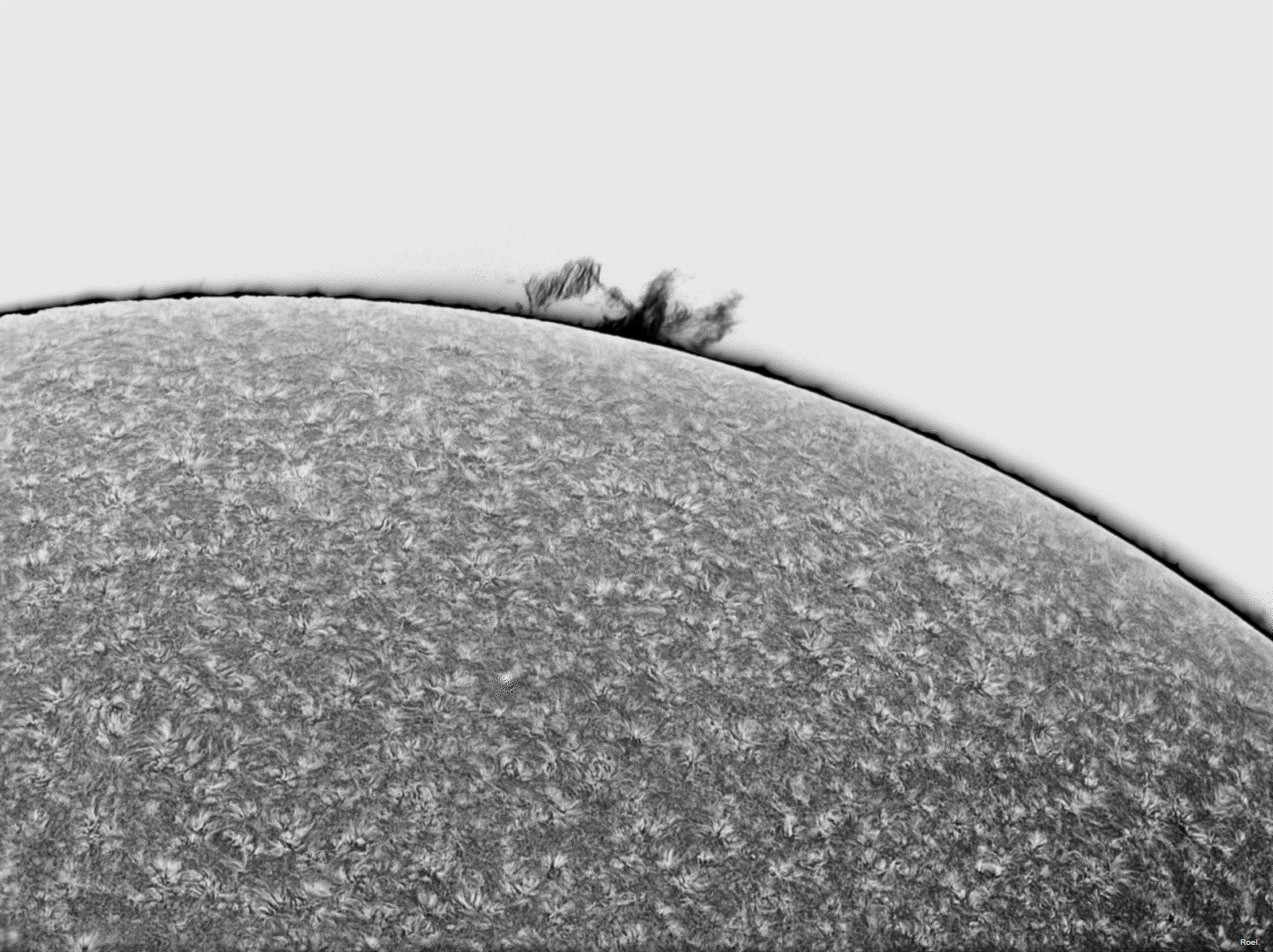 Sol de 24 de noviembre del 2018-Stellarvue-Daystar-1neg.jpg
