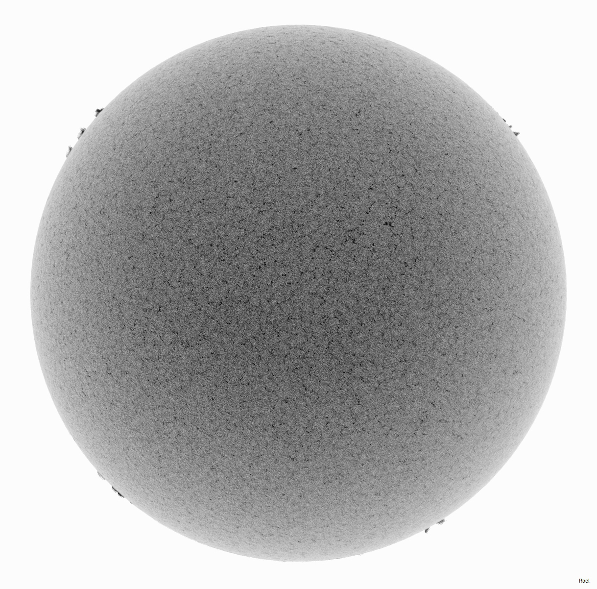 Sol del 11 de enero del 2019-Meade-CaK-PSTmod-2neg.jpg