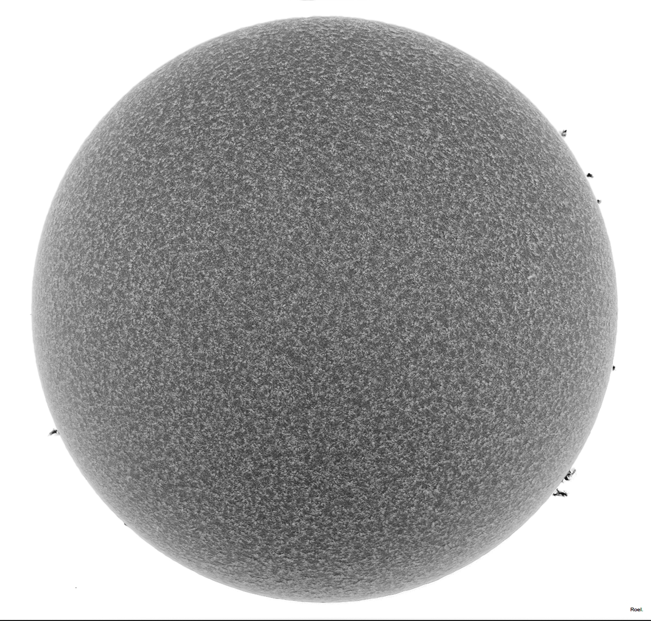 Sol del 13 de enero del 2019-Solarmax 90-DS-BF30-1bneg.jpg
