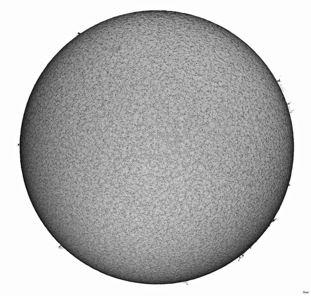 Sol del 21 de junio del 2019-Solarmax 90-DS-BF30-2inv-neg.jpg