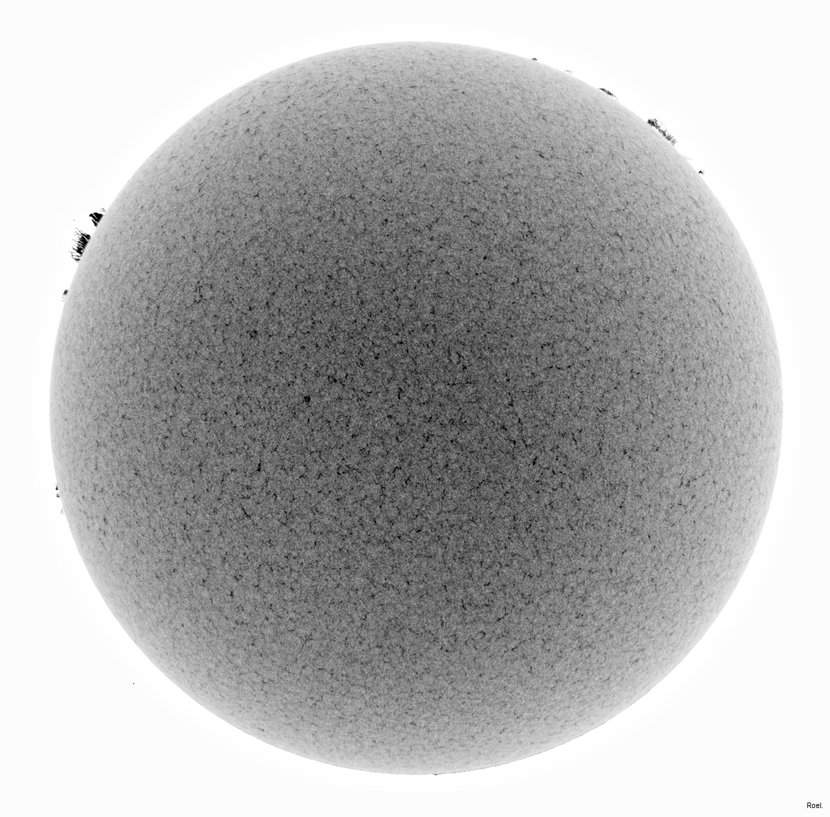 Sol del 8 de septiembre del 2019-Meade-CaK-PSTmod-1neg.jpg