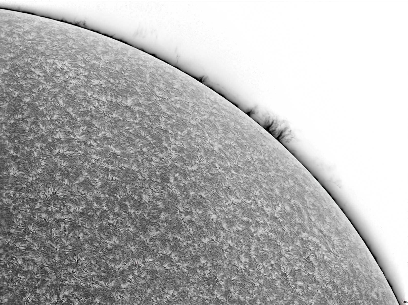 Sol del 8 de septiembre del 2019-Stellarvue-Daystar-1neg.jpg