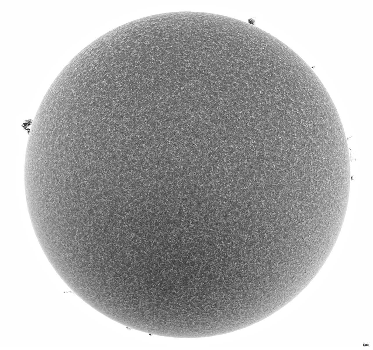 Sol del 12 de octubre del 2019-Solarmax 90-DS-BF30-1neg.jpg