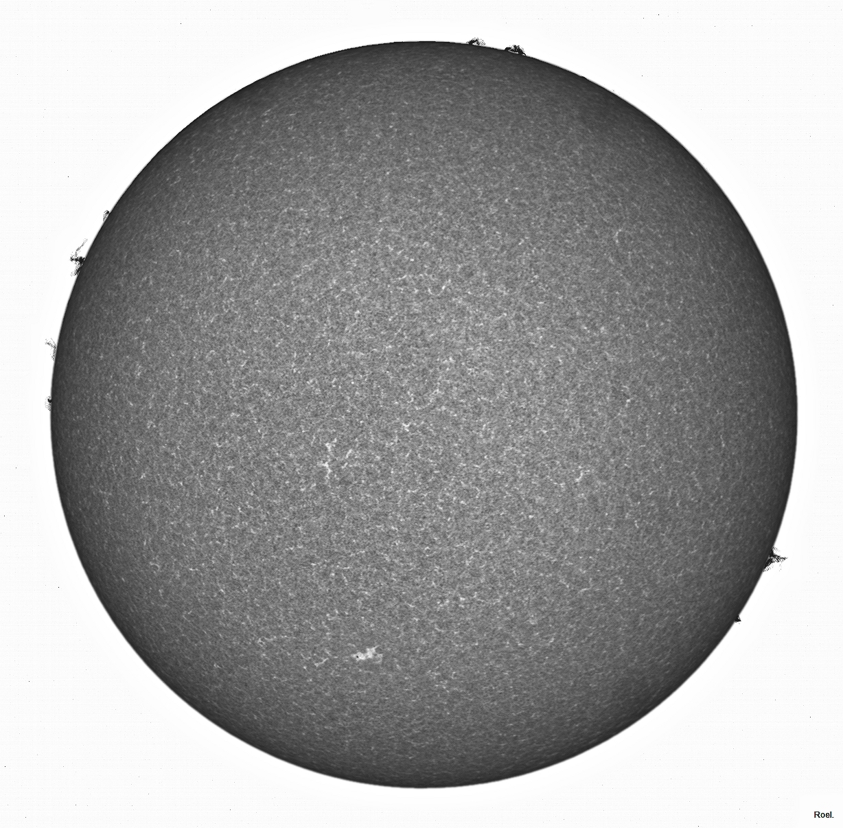 Sol del 1 de noviembre del 2019-Meade-CaK-PSTmod-1apos-neg.jpg