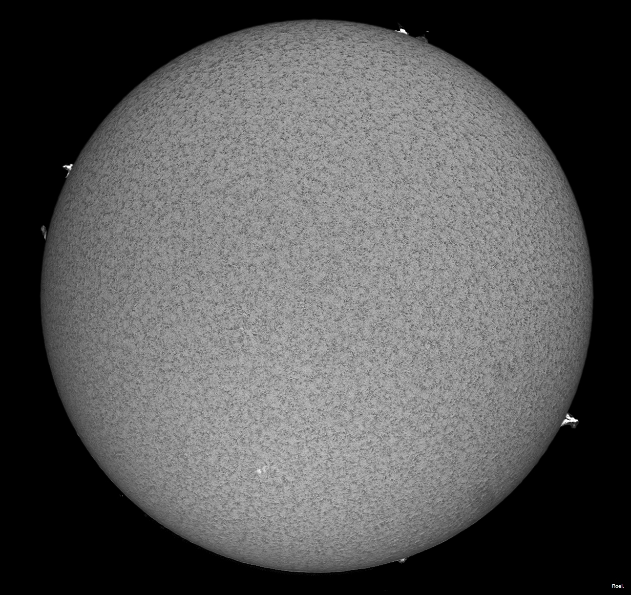 Sol del 1 de noviembre del 2019-Solarmax 90-DS-BF30-2apos.jpg