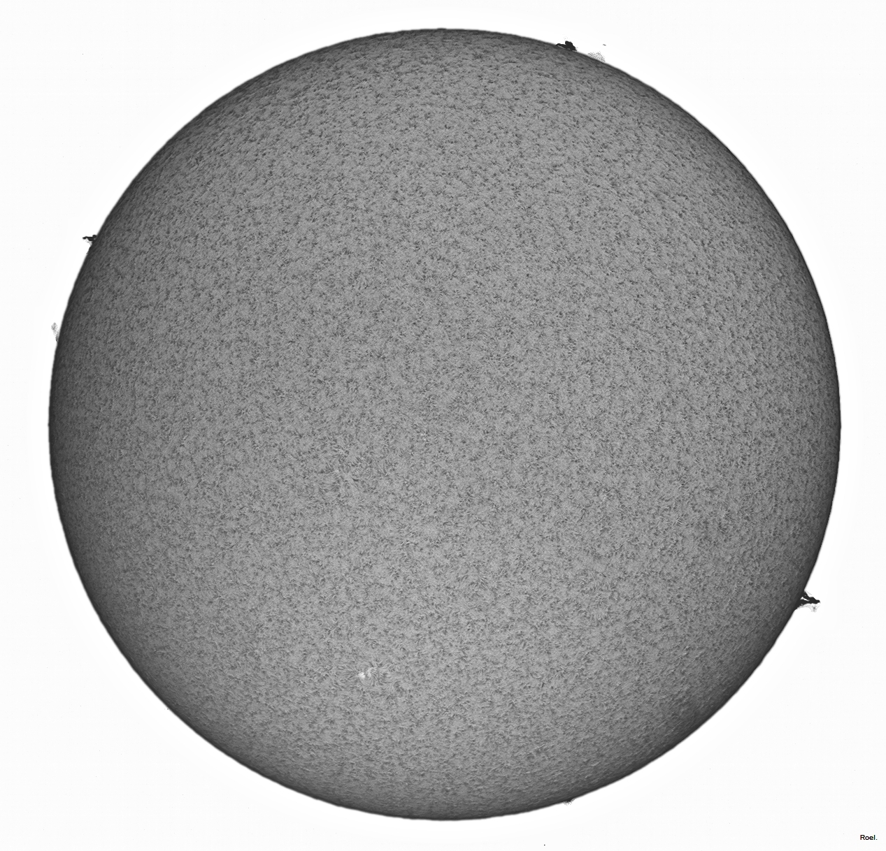 Sol del 1 de noviembre del 2019-Solarmax 90-DS-BF30-2apos-neg.jpg