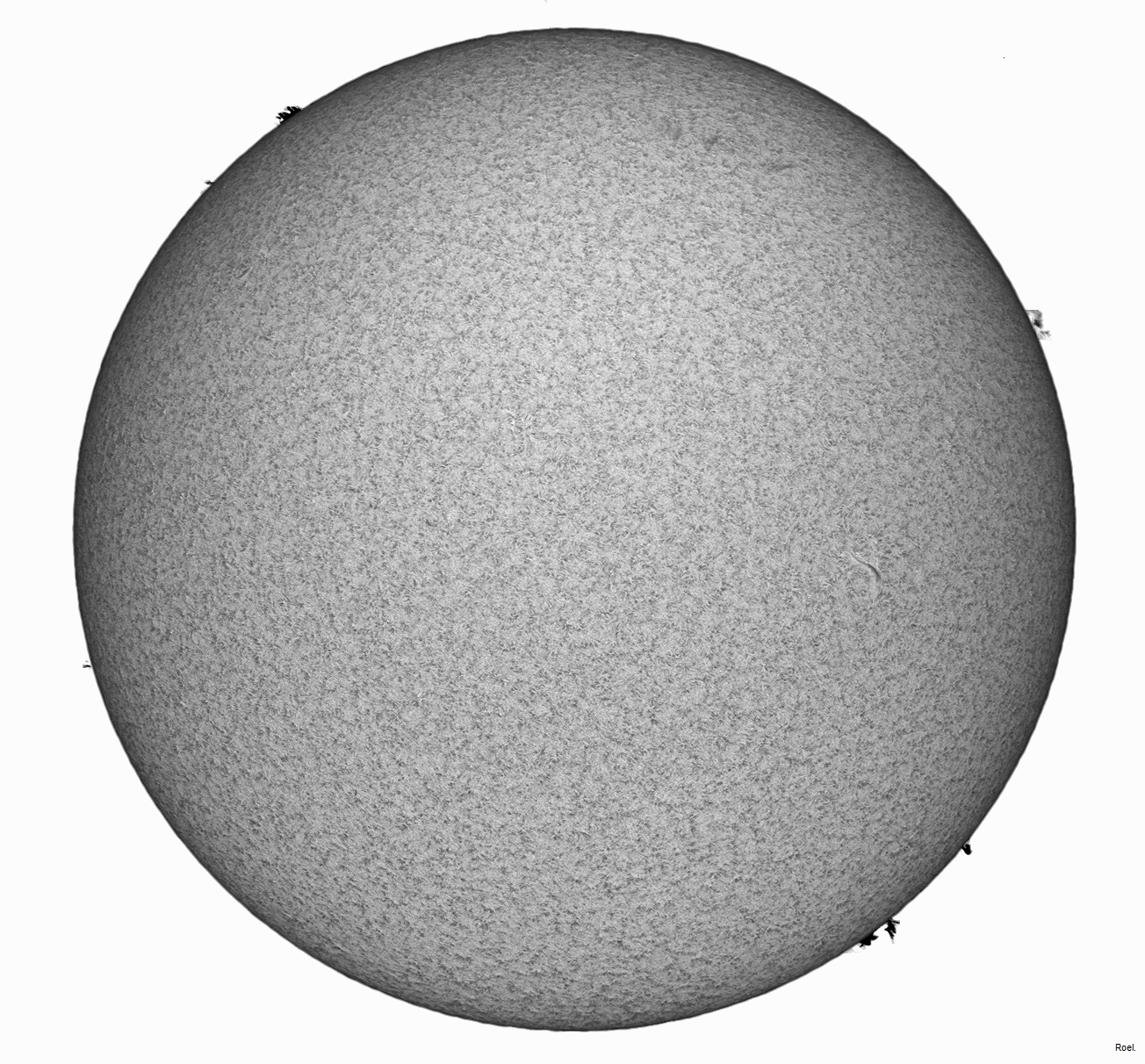 Sol del 15 de enero 2020-Solarmax 90-DS-BF30-1pos-neg.jpg