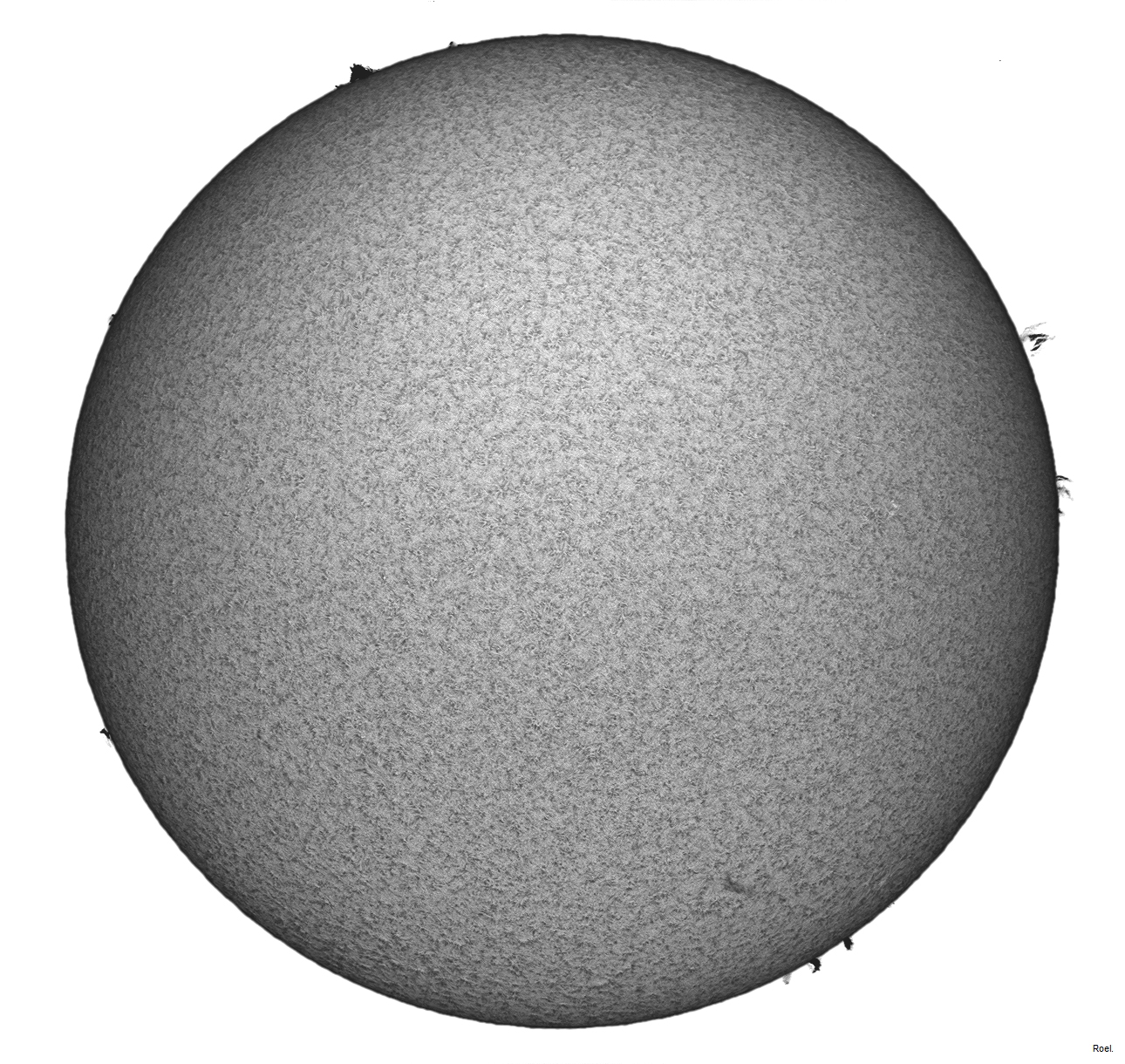 Sol del 8 de febrero 2020-Solarmax 90-DS-BF30-2pos-neg.jpg