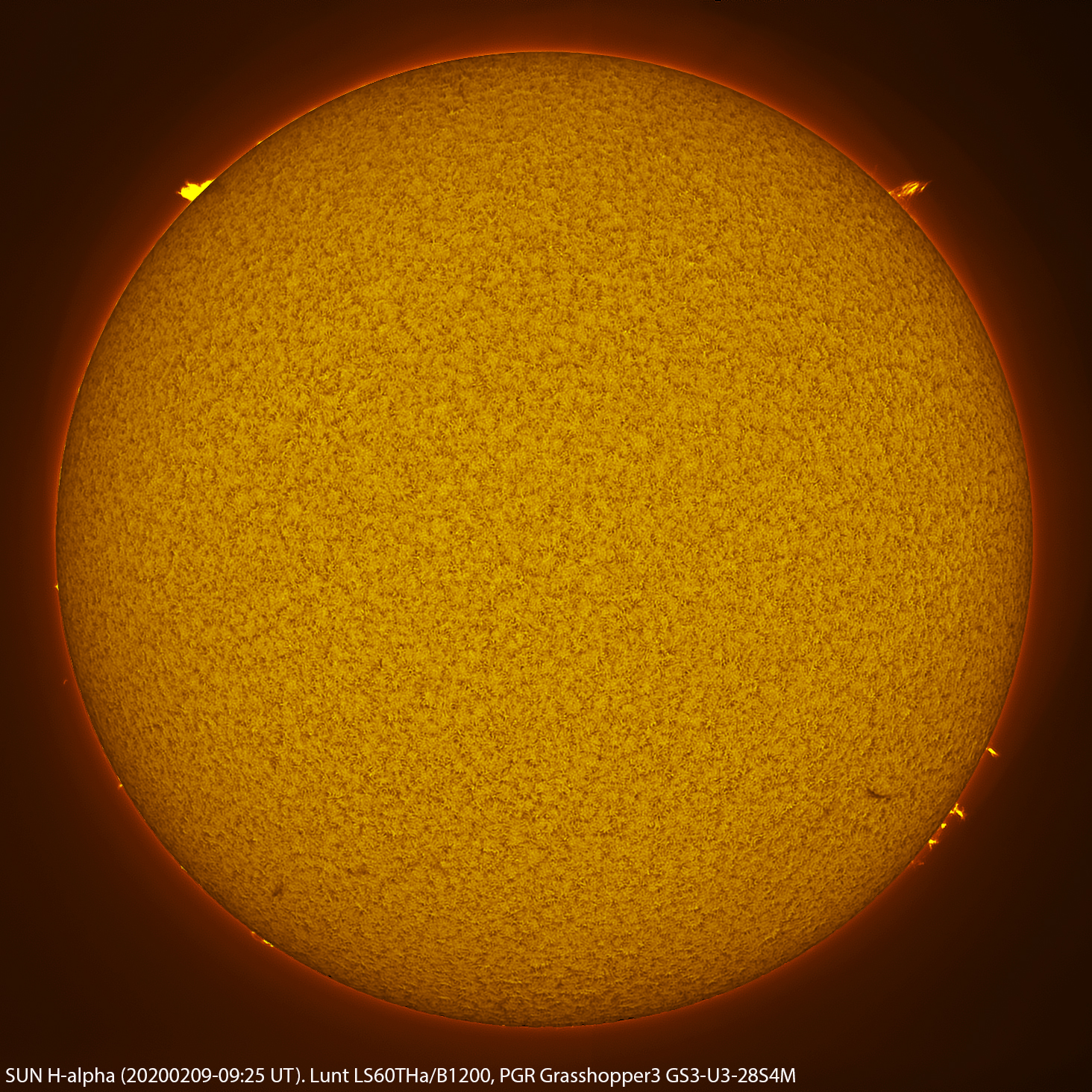 Sun_H-ALPHA_0925_20200209.jpg