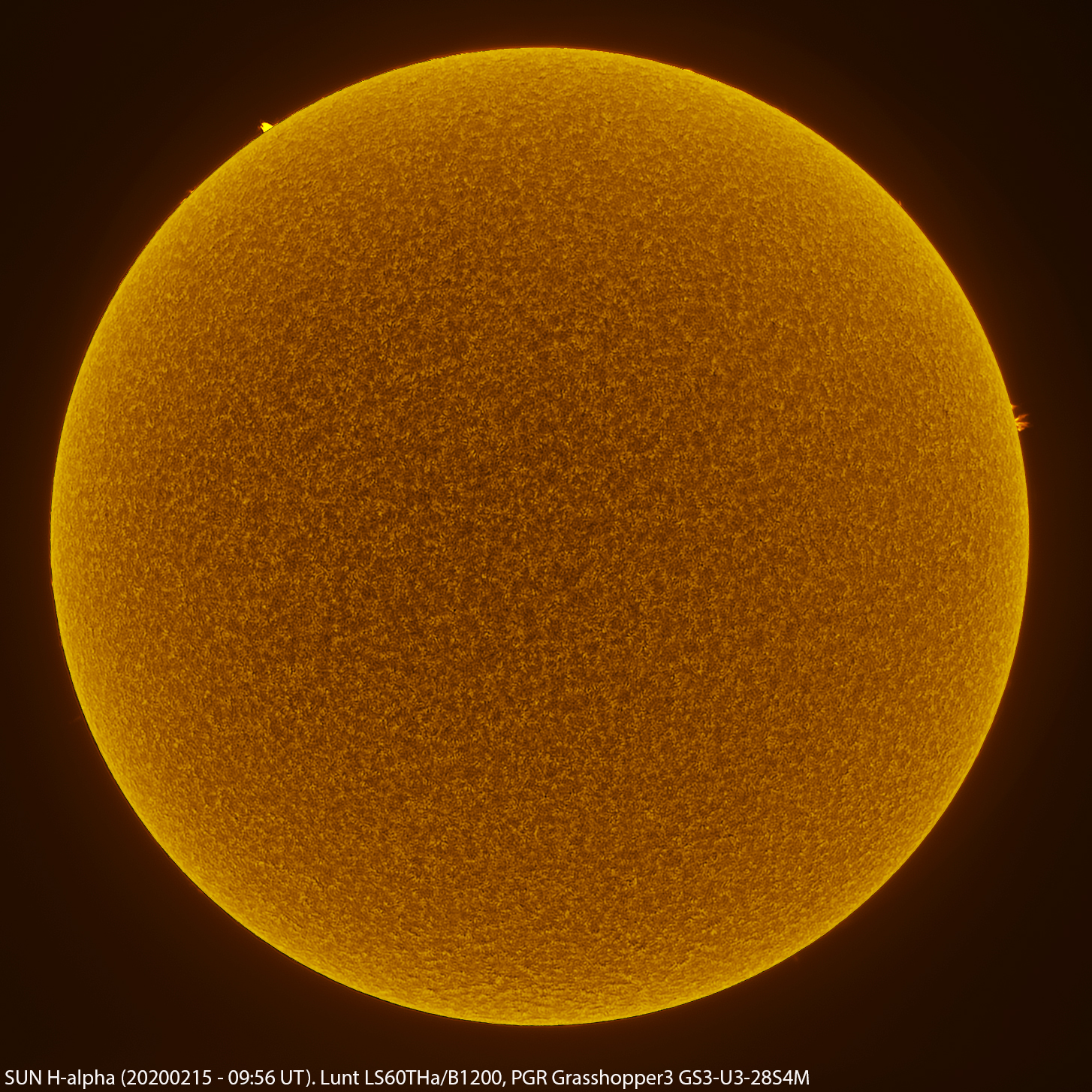 Sun_H-ALPHA_0956_20200215_merge_inverted.jpg