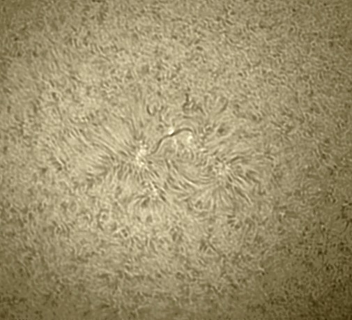 sun ar 11.3.2020 14.53 imppg pf7.jpg