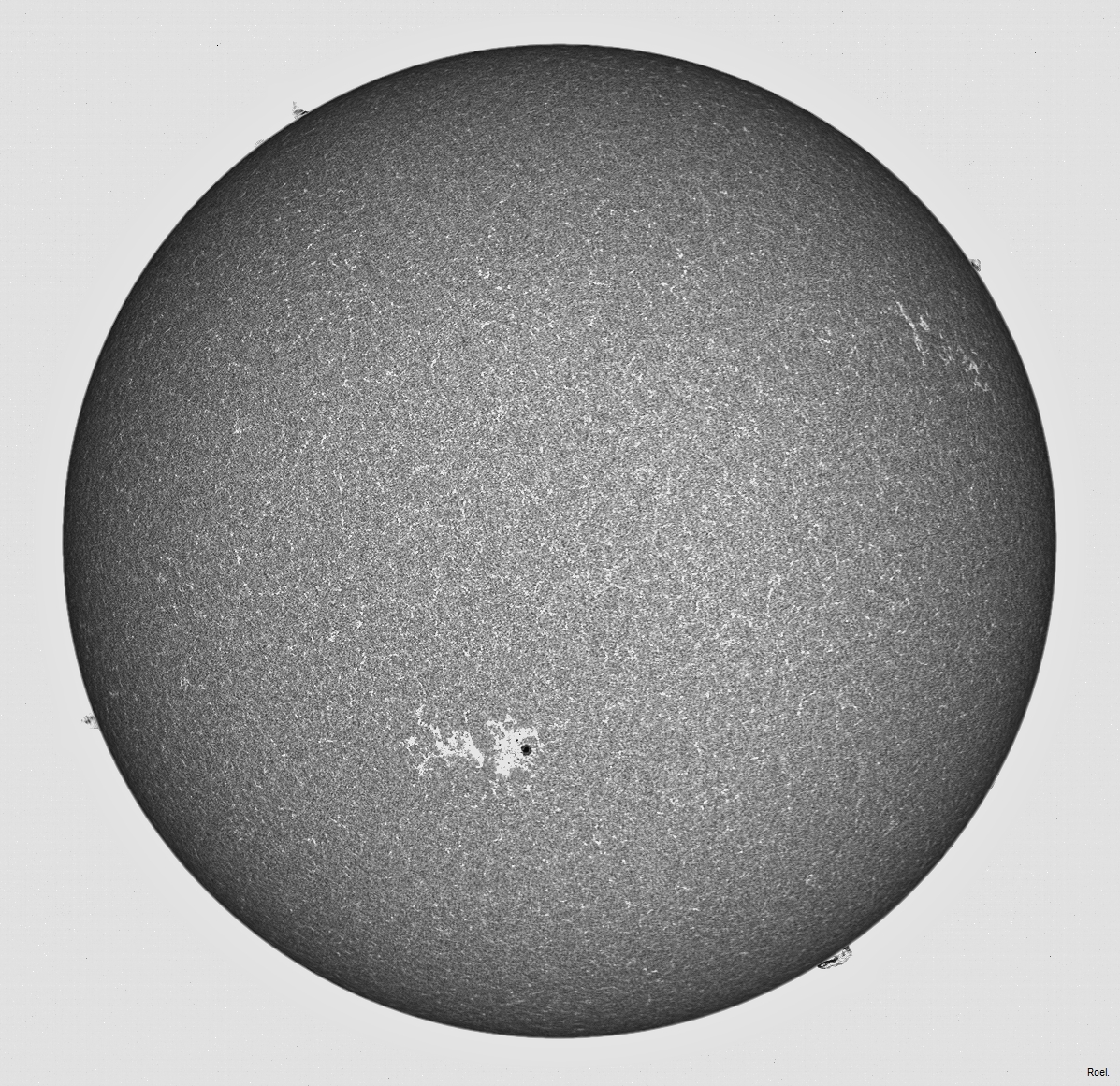 Sol del 9 de junio del 2020-Meade-CaK-PSTmod-1pos-neg.jpg