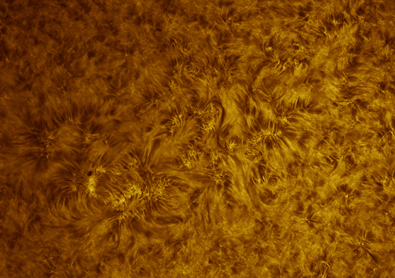 AR12780_Sun_102124.jpg