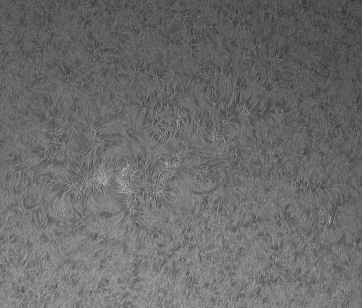 AR2780.jpg