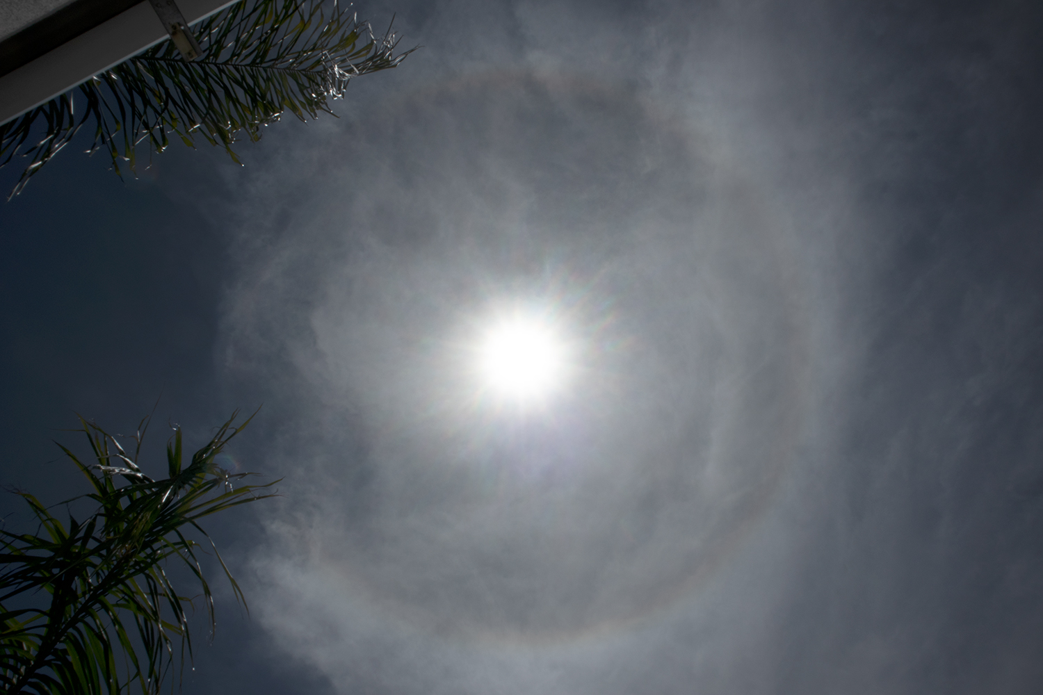 Sun_Halo_20210325.jpg