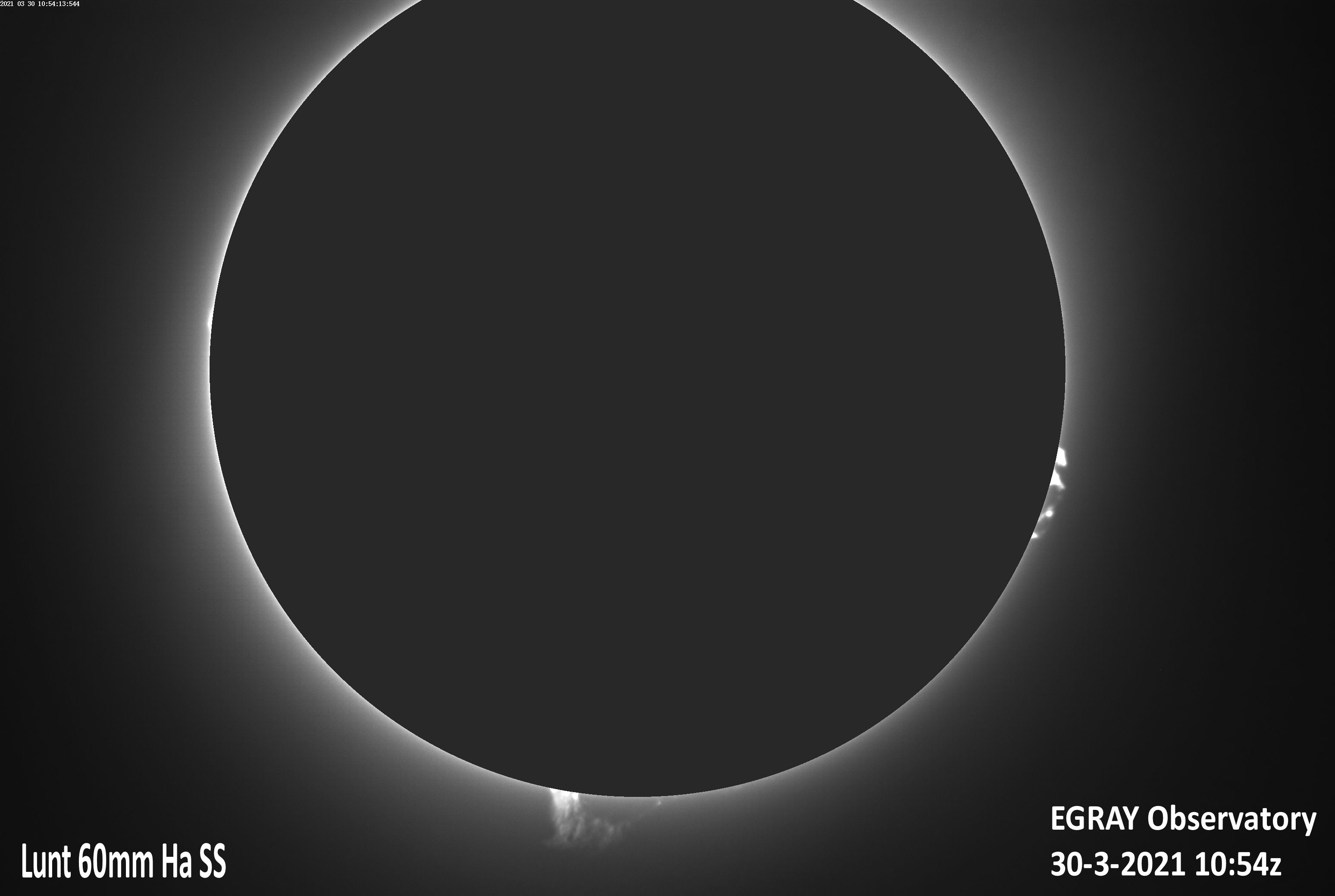 2020-03-30 1054z Ha-proms Capture_00002-GAMMA.jpg