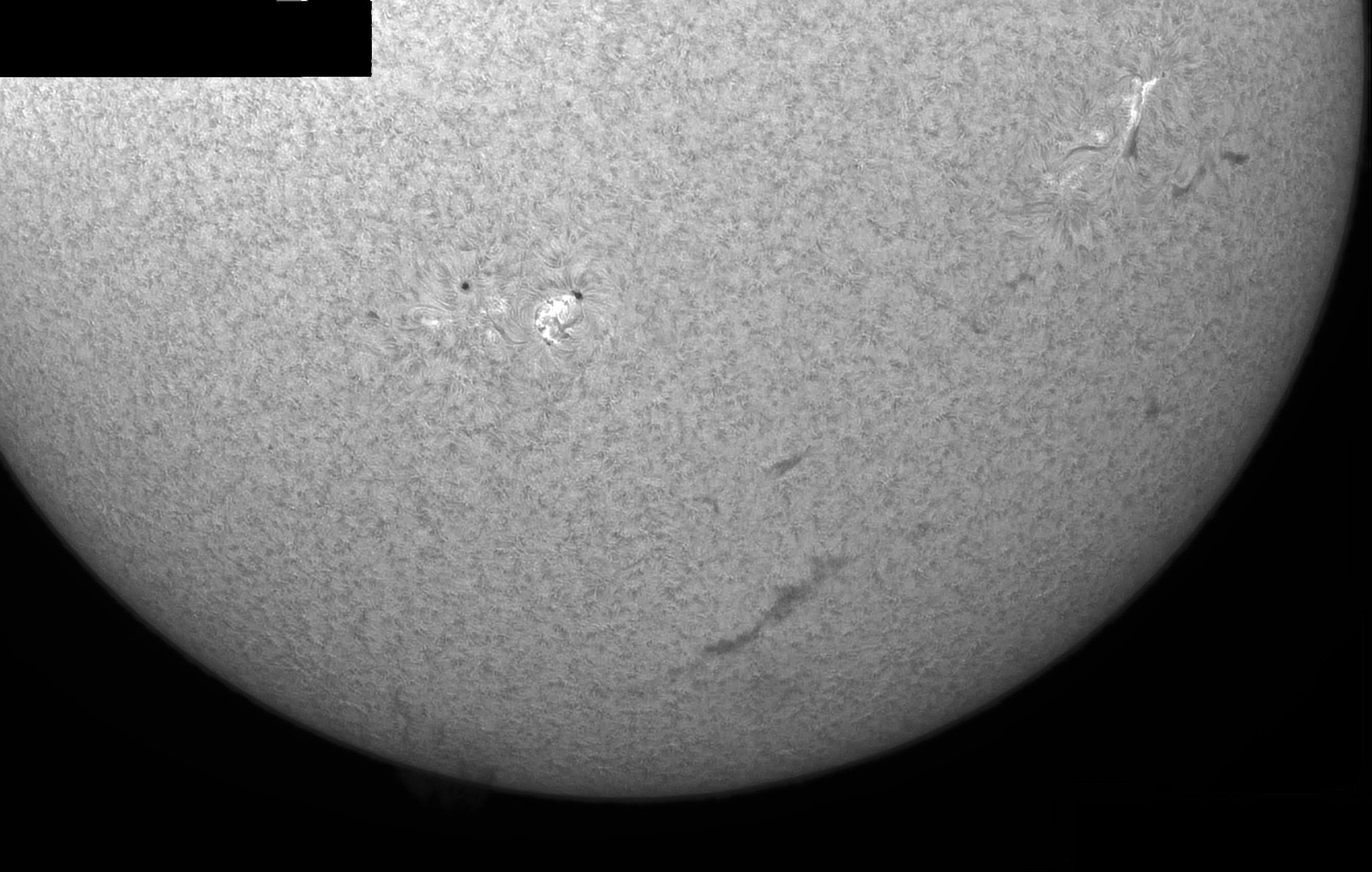 Mosaic AR2818 and AR2816.jpg