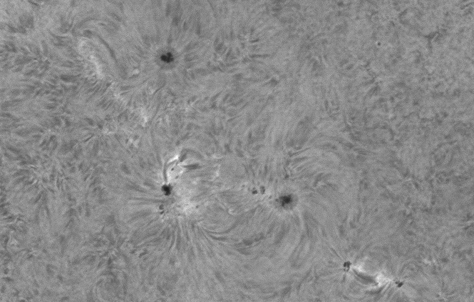 2021-04-25-1130  AR2818 - 2820  0n Band  .jpg