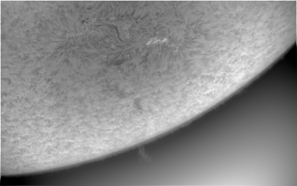 2021-04-25-1139 AR2816.jpg