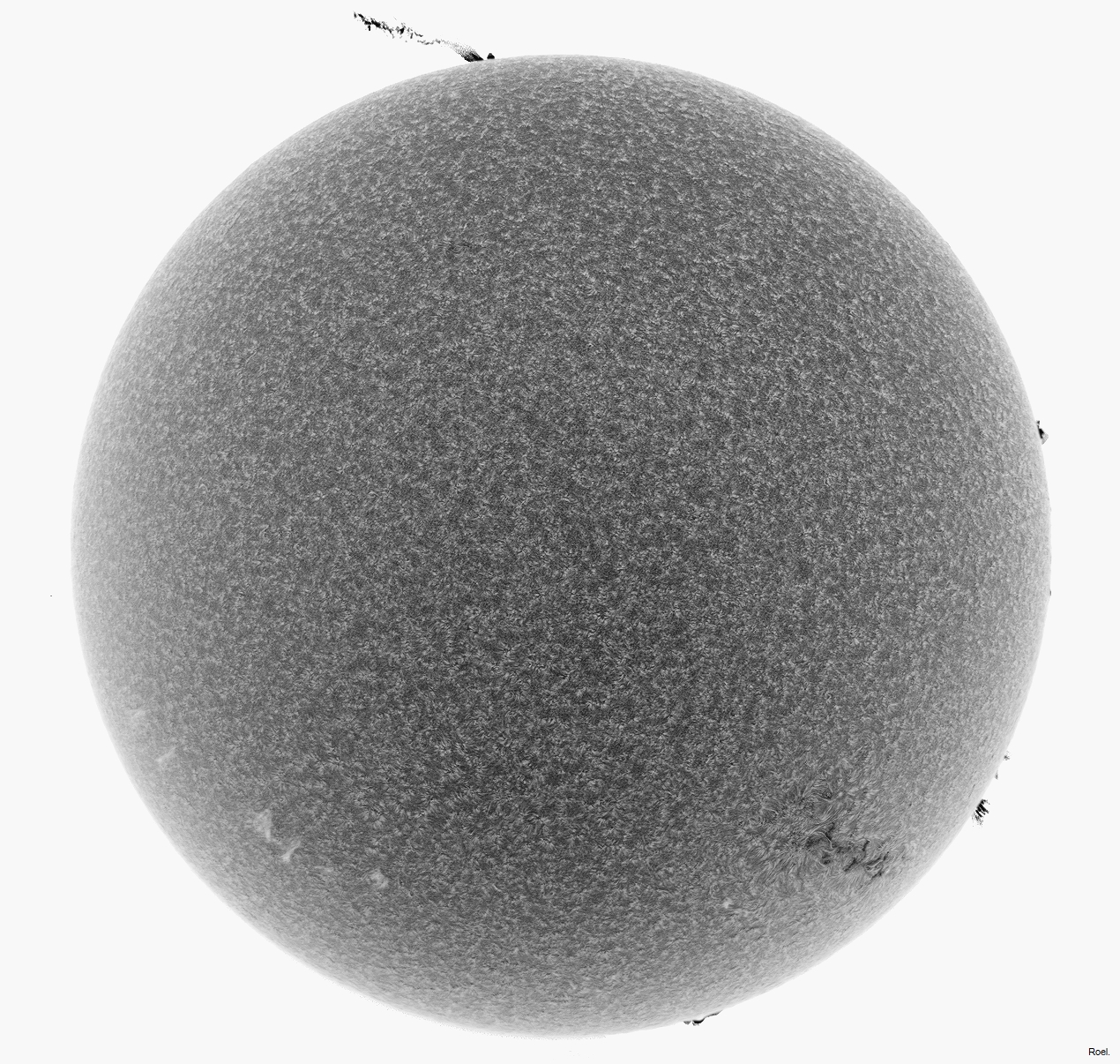 Sol del 29 de abril del 2021-Solarmax 90-DS-BF30-1neg.jpg
