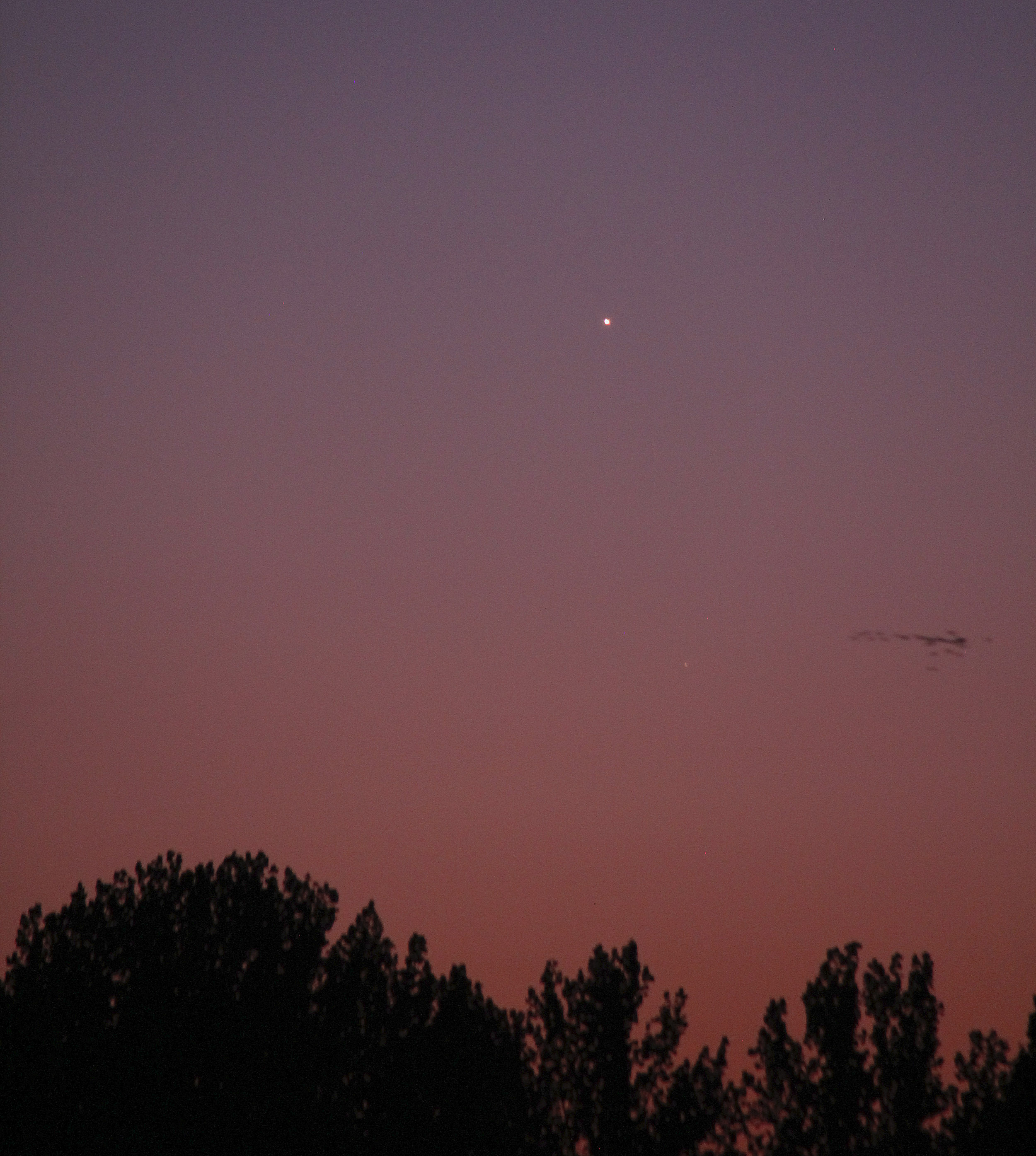 Venus-Jupiter-Geese.jpg