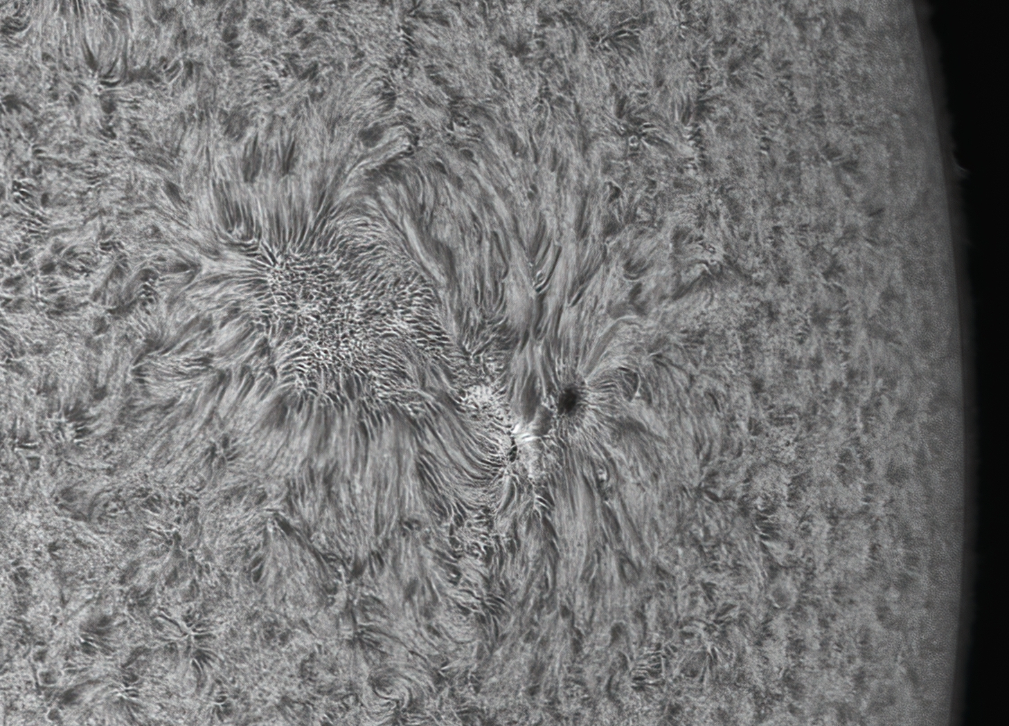 Sol del 5 de junio del 2021-Stellarvue-Daystar-1az-pos-Drizzle15-crop.jpg