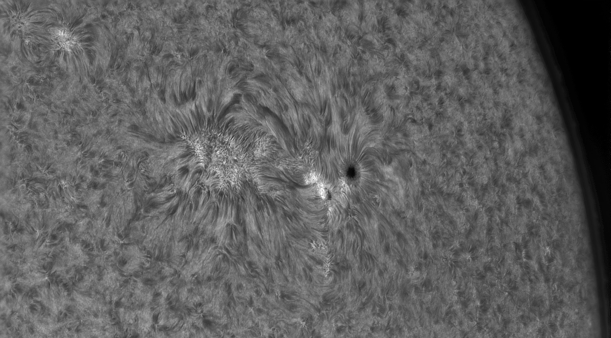 Ha AR12827