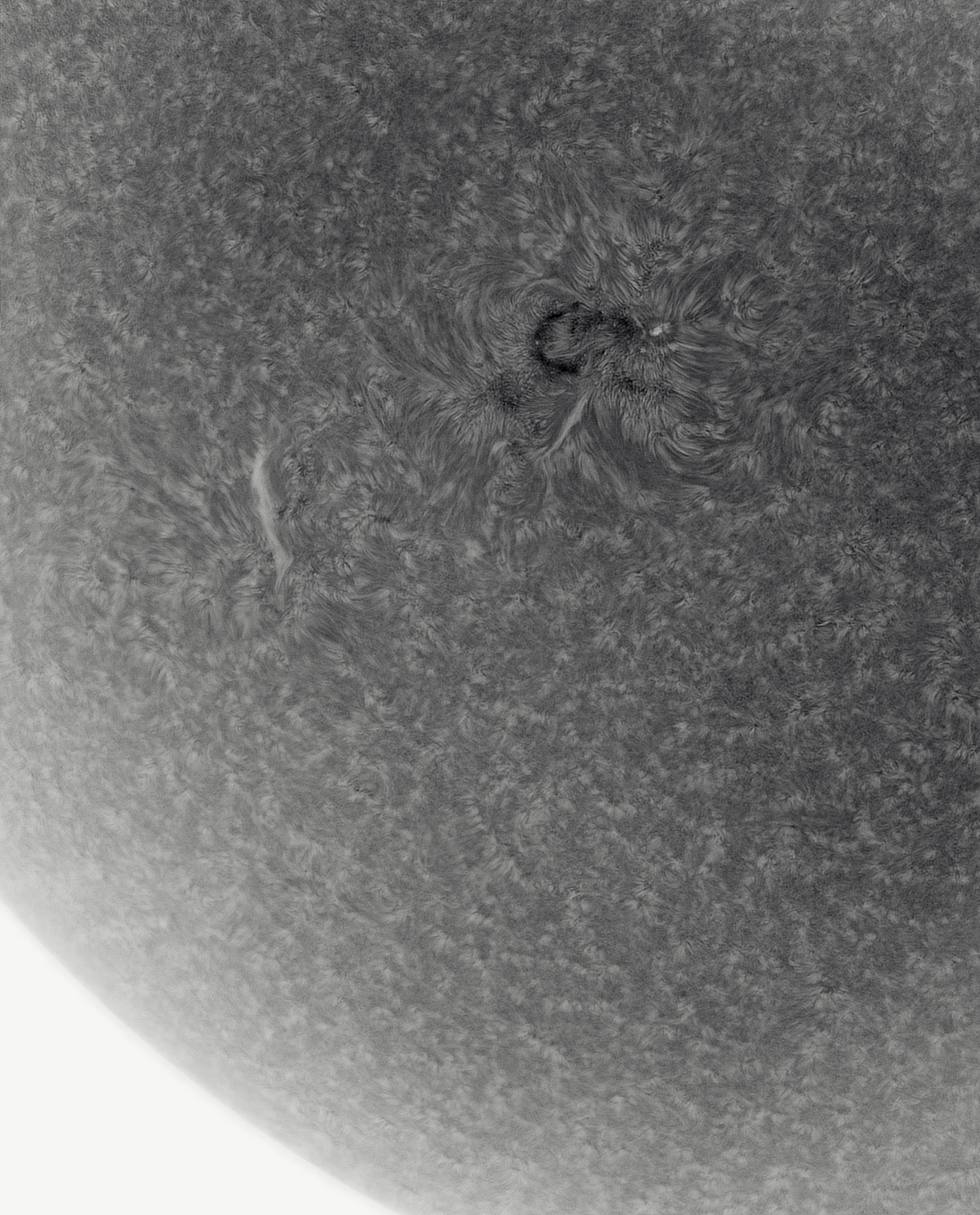 090148-AR12829-and-filament-final-mono-inverted.jpg