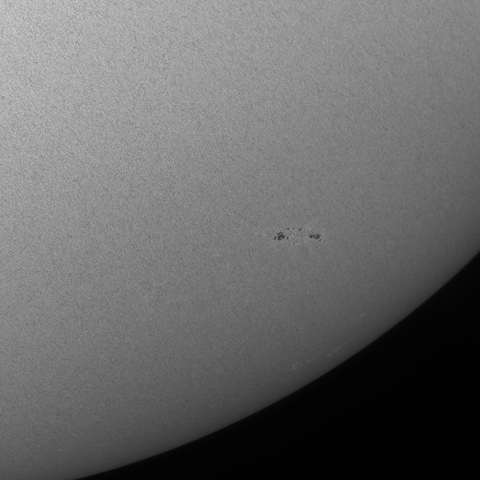 AR2830-WL.jpg