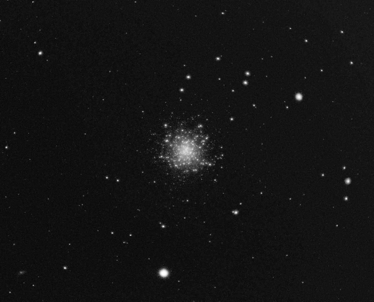 M13 50 x 1 min