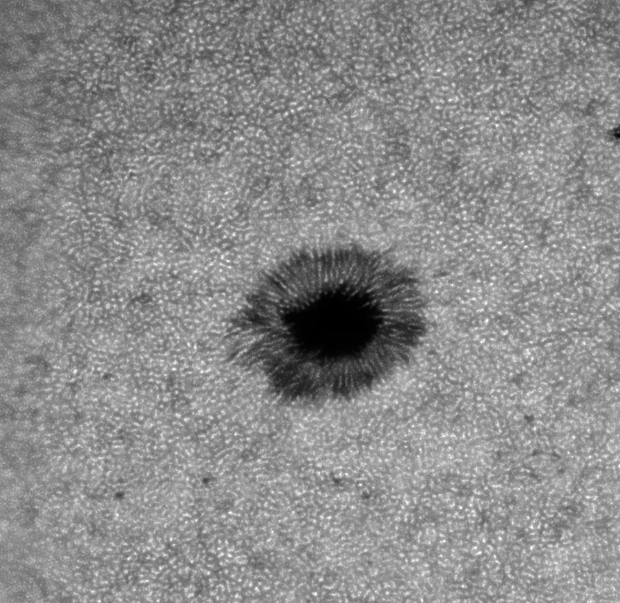 sunspot_on_june_17_by_giovannigabrieli_delpj88-fullview.jpg