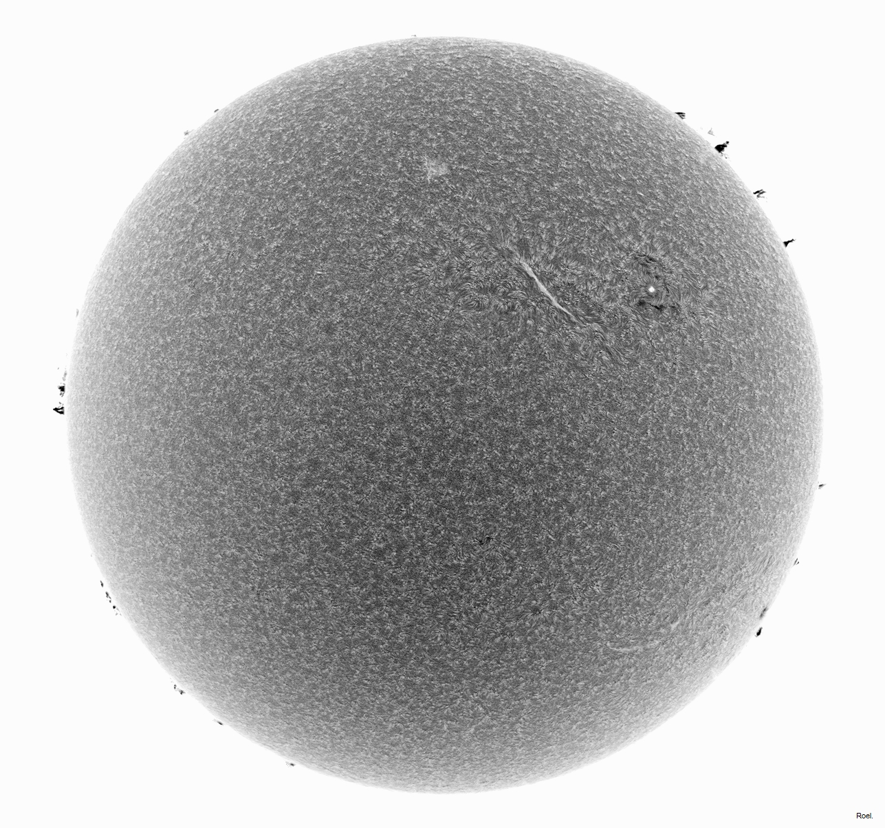 Sol del 21 de junio del 2021-Solarmax 90-DS-BF30-1neg.jpg