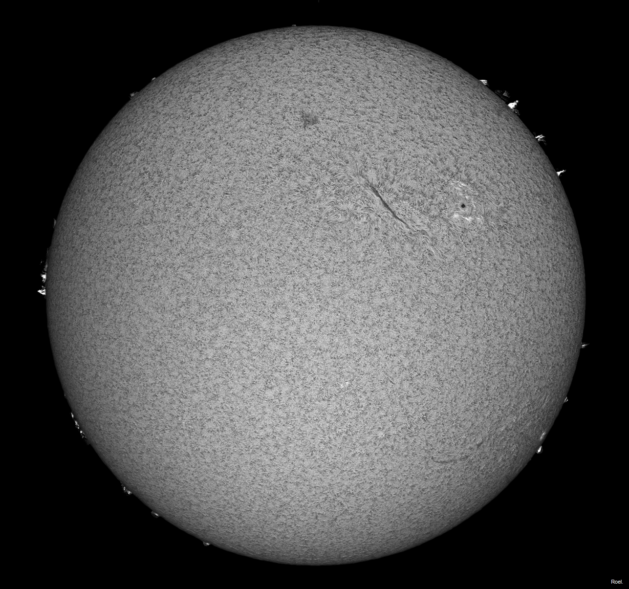 Sol del 21 de junio del 2021-Solarmax 90-DS-BF30-1pos.jpg