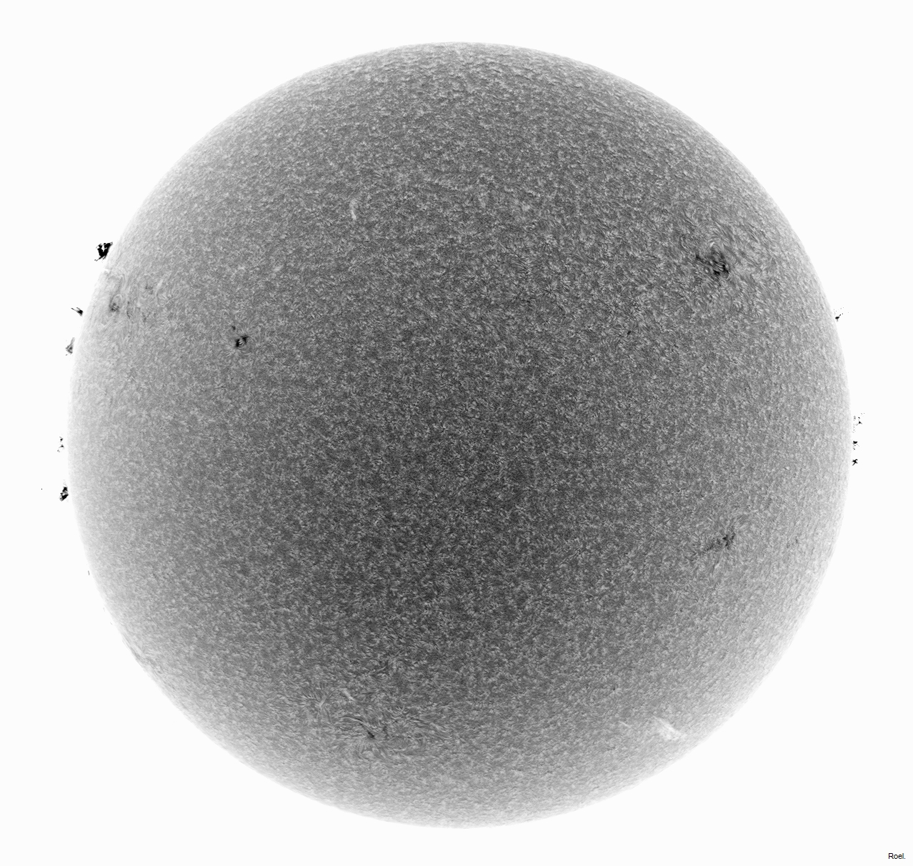 Sol del 20 de julio del 2021-Solarmax 90-DS-BF30-1neg.jpg