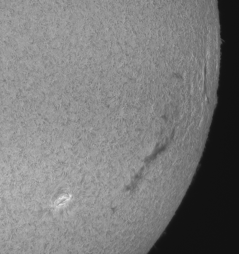 Filament-West-Limb-8-2021.jpg