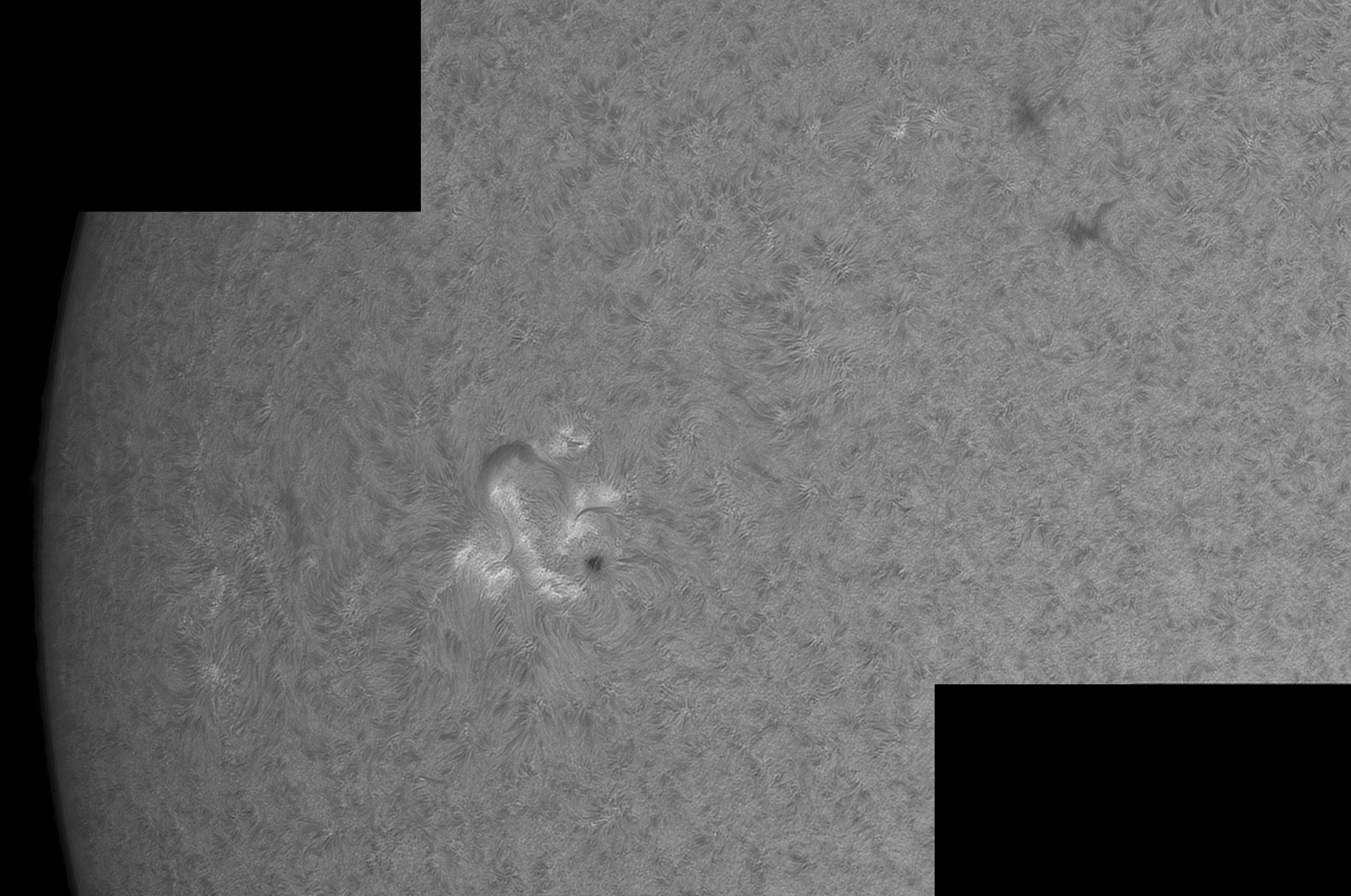 AR2859-Ha_13xOR130.jpg