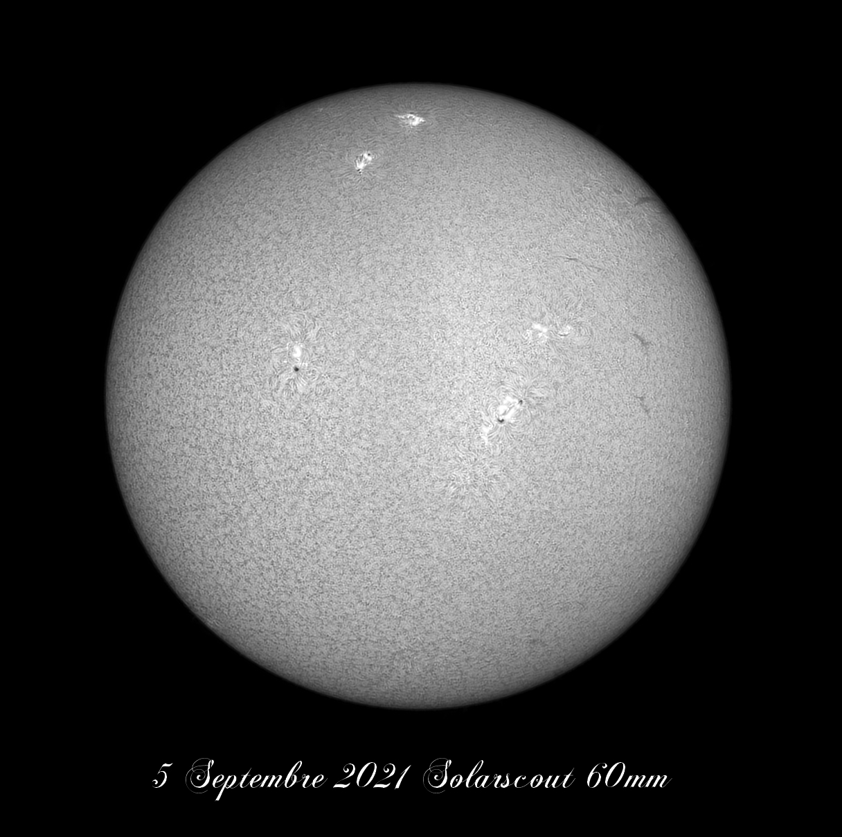 solarscout-b.jpg