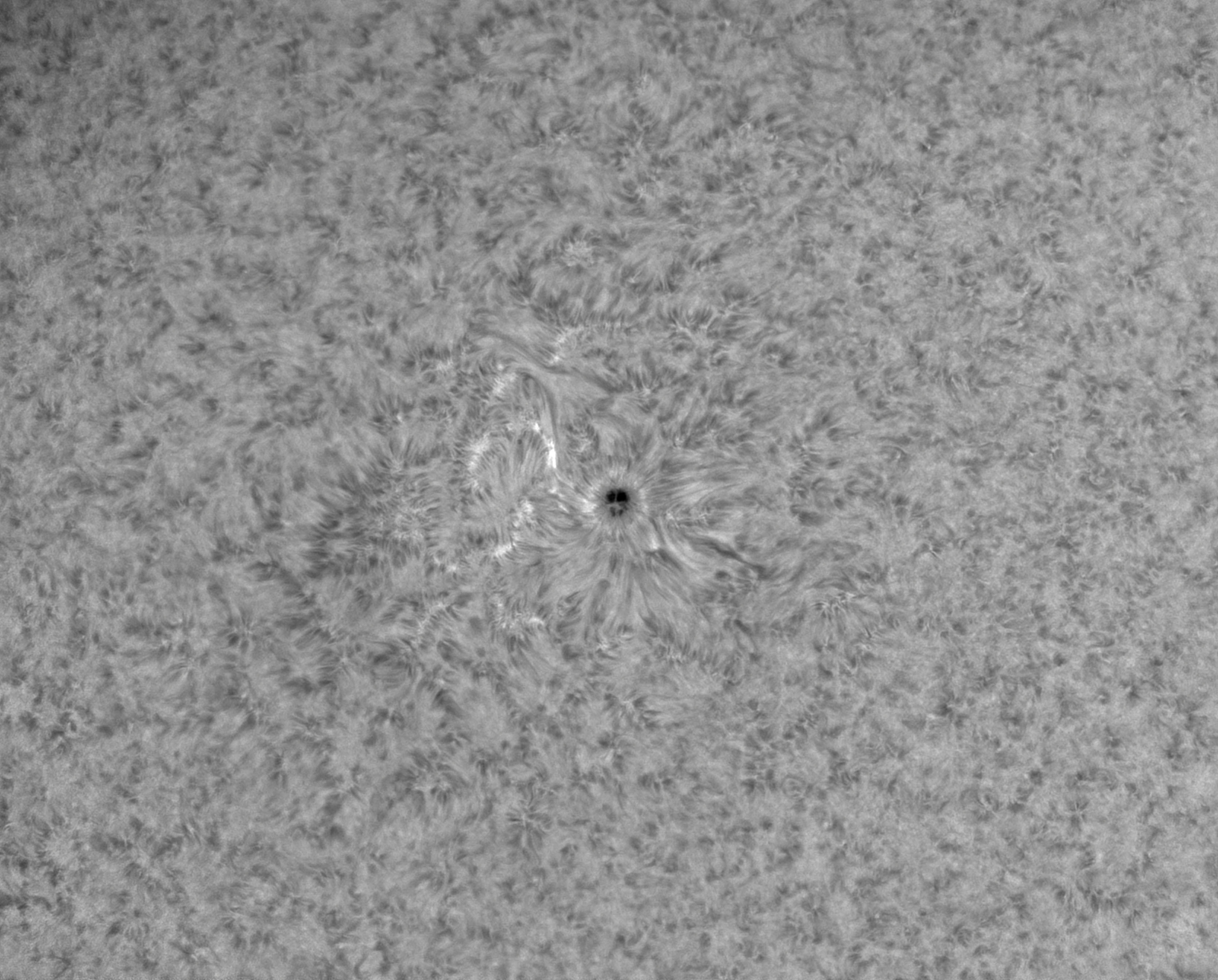 094157 AR2893 wide field mono.jpg