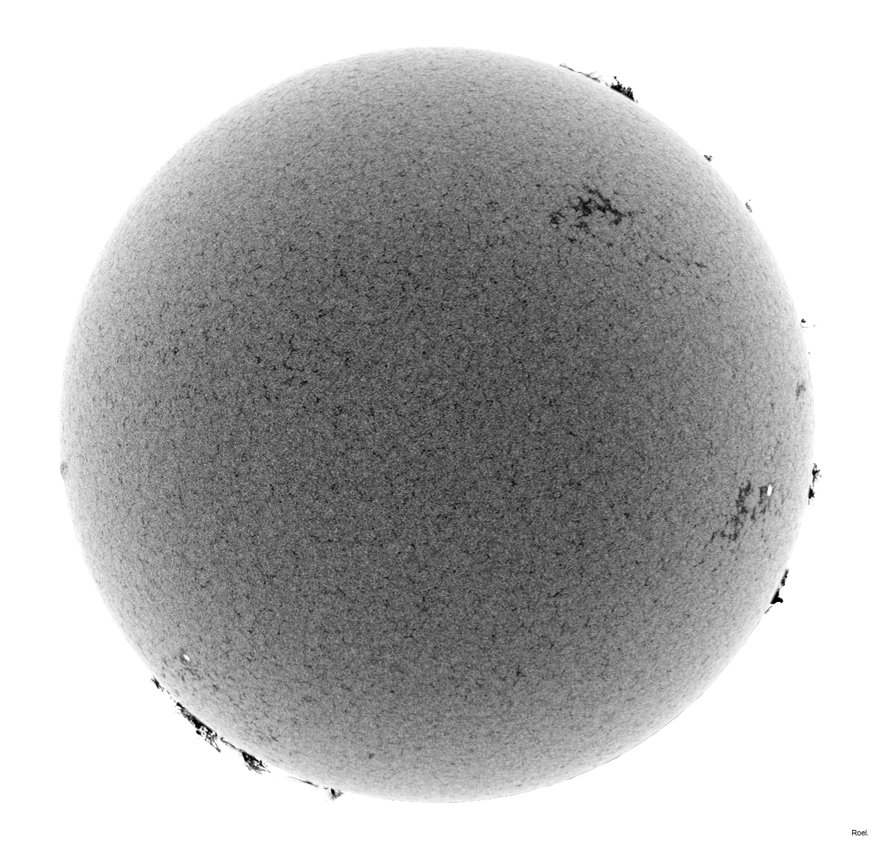 Sol del 15 de noviembre 2012-Meade-CaK-PSTmod-1neg.jpg