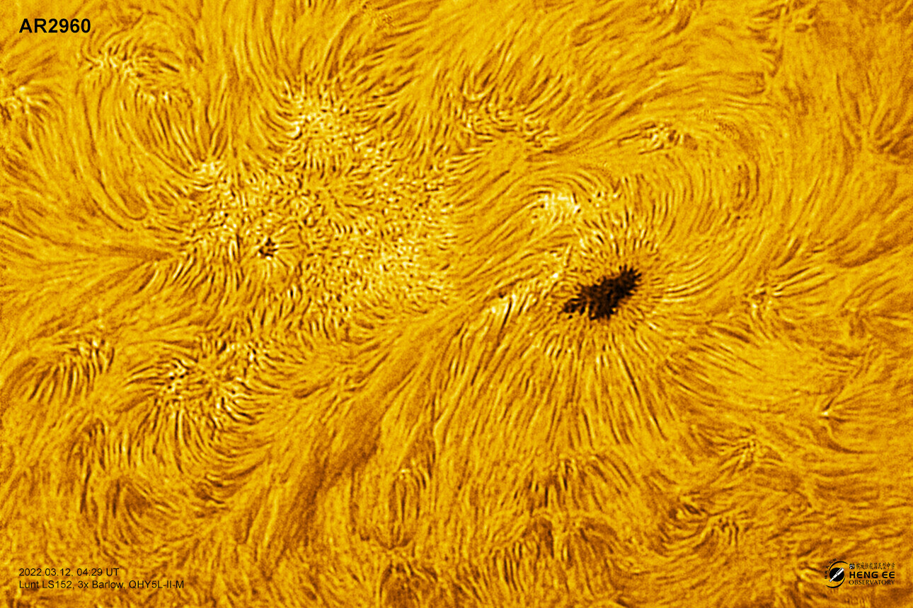 AR2960_20220312_0429_H3x.jpg