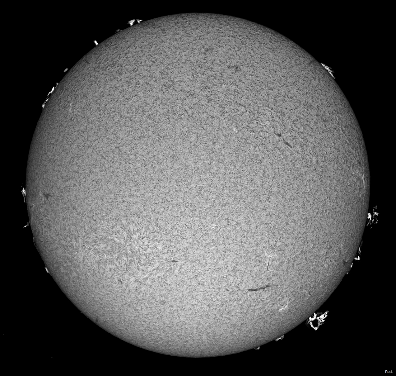 Sol del 4 de junio del 2022-Solarmax 90-DS-BF30-1az-pos.jpg