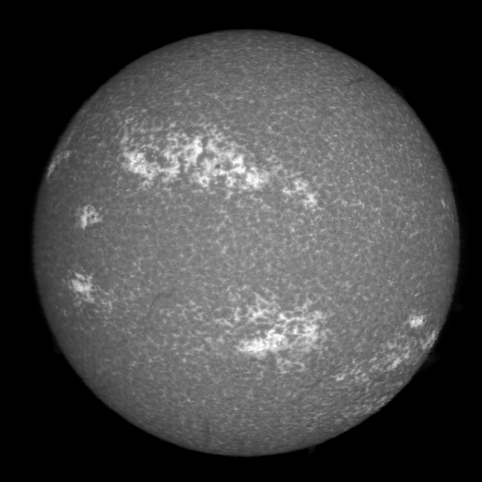 CaK SHG image (a slight rotation of the camera was made after the H-alpha imaging). June 15, 12:42 UTC.