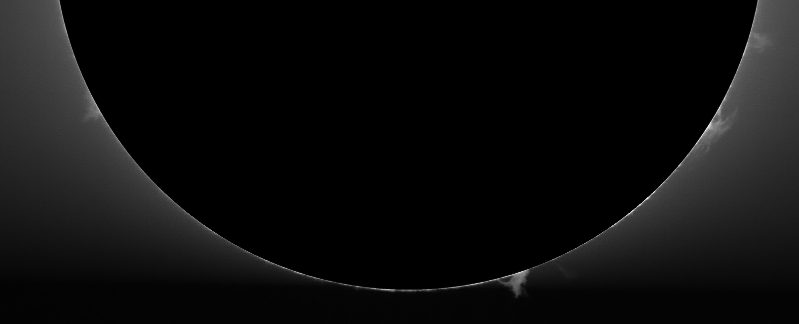 CaK prominence image