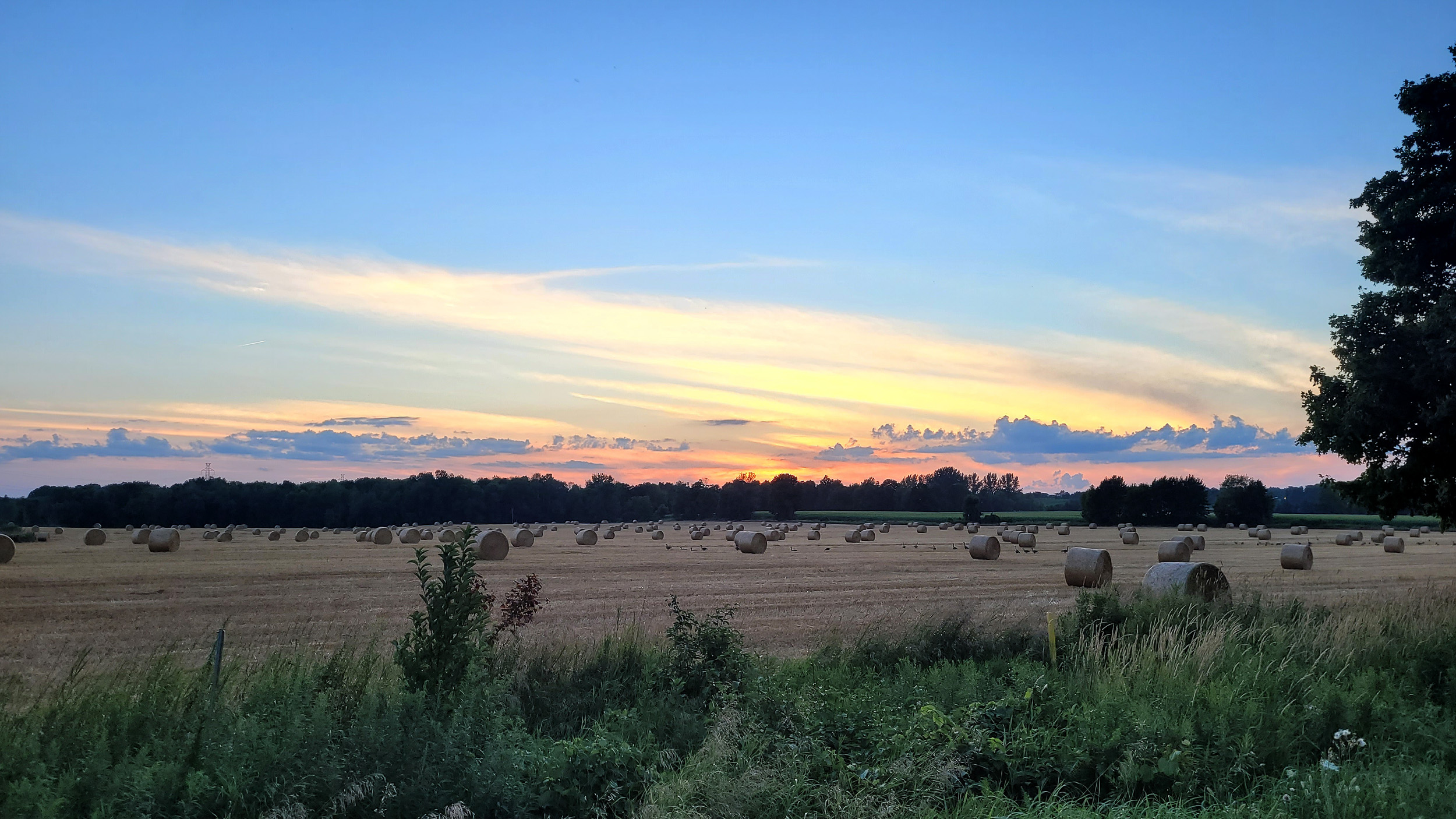 Harvest Sunset.jpg