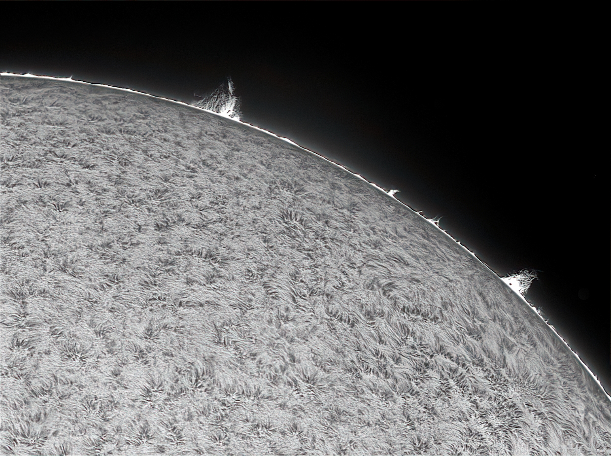 Sol del 13 de agosto del 2022-Stellarvue-Daystar-8az-pos.jpg