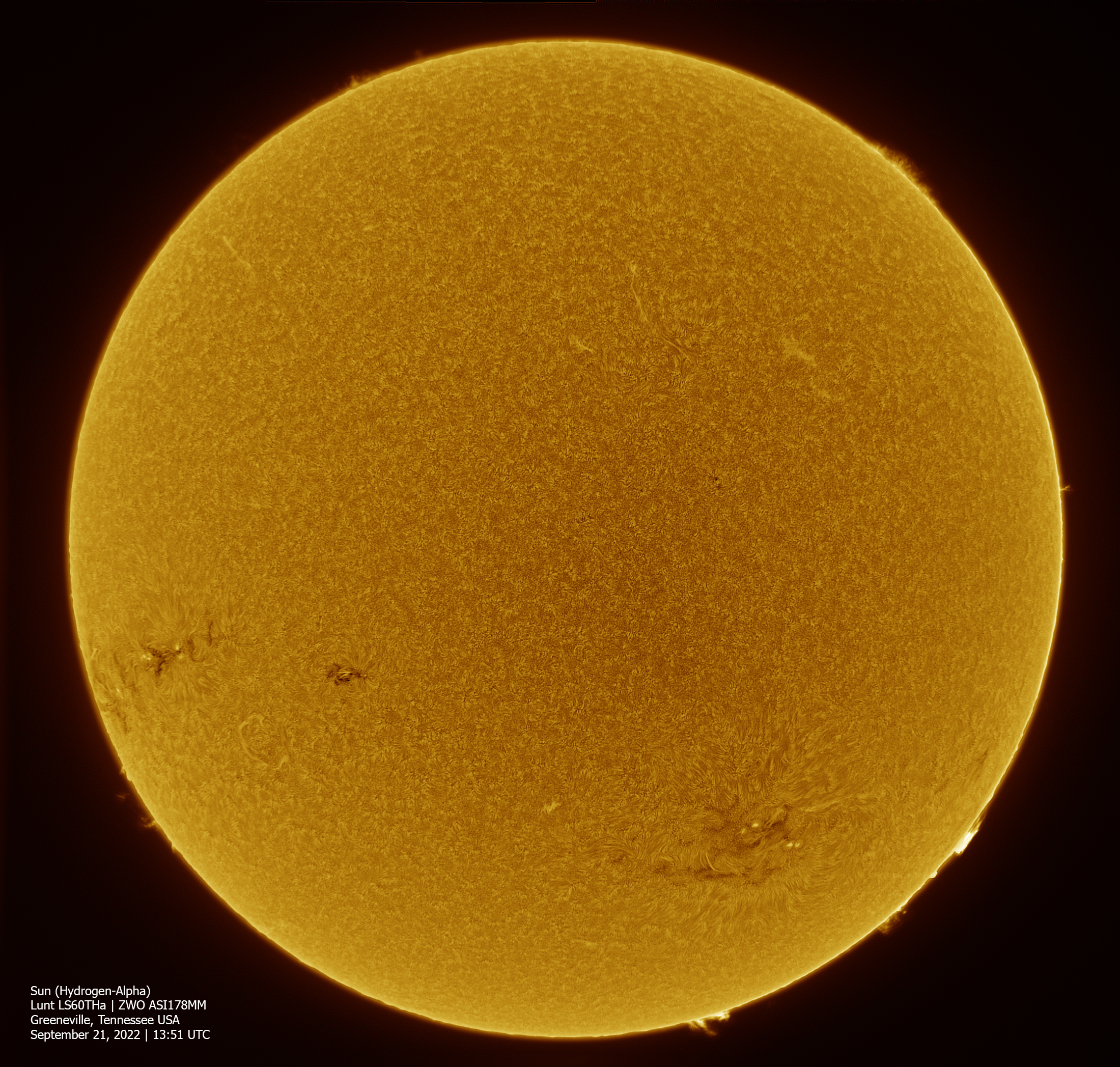 Sun-ZWO-Lunt-Full-Disk-Ha-Inverted-September-21-2022.jpg