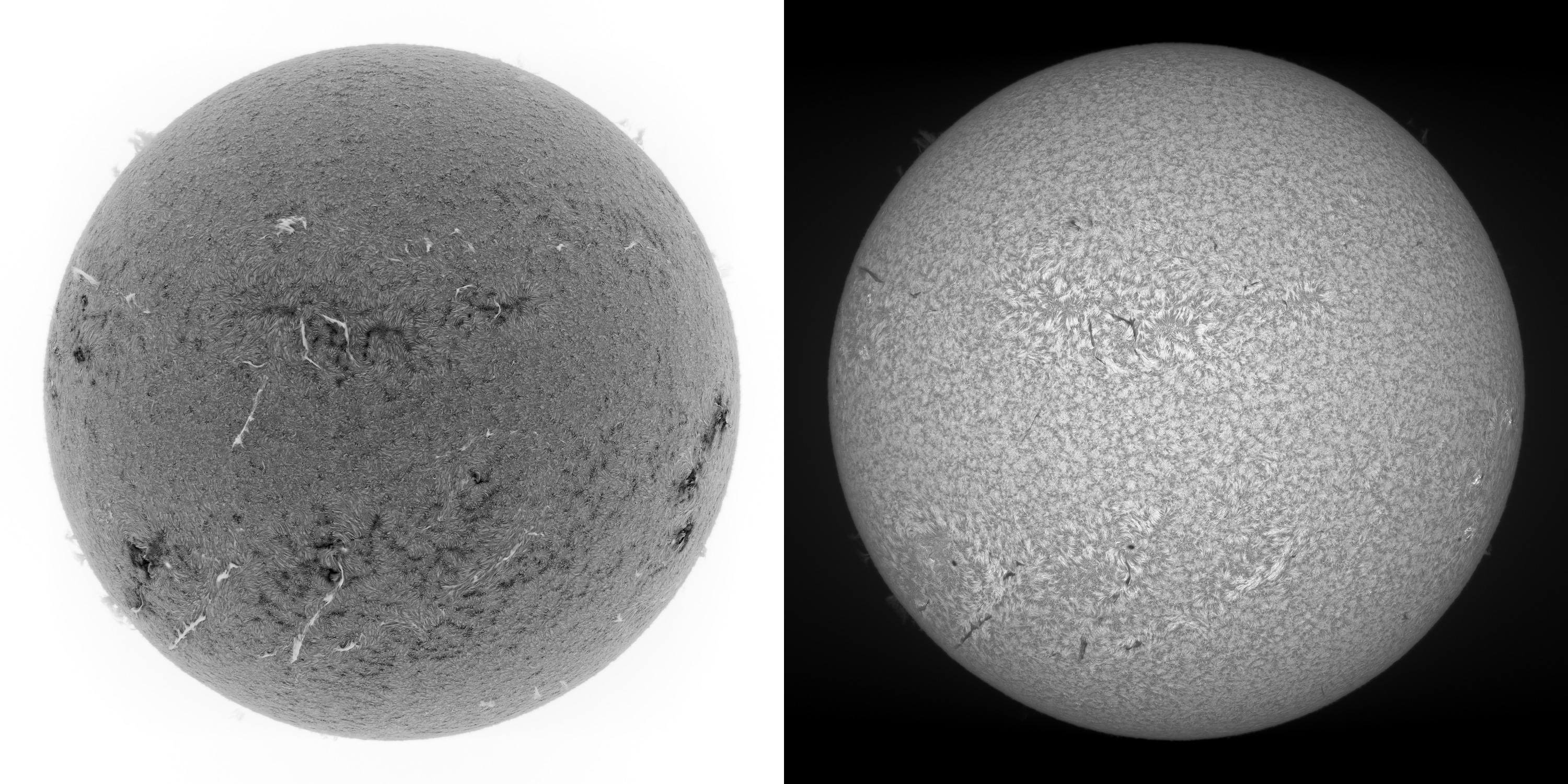 Some example results. H-alpha (inverted) and H-beta (non-inverted), both taken on Aug 7. Full-disk scans, frames stacked in AS!3, sharpened with ImPPG, final image assembled with Photoshop Elements.