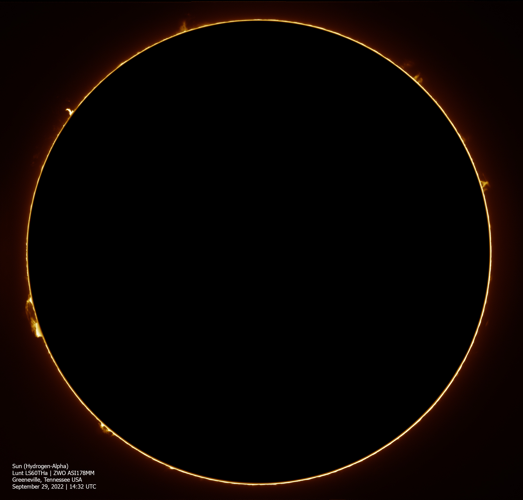Sun-ZWO178-Lunt60-Full-Disk-Ha-Blackout-September-29-2022.jpg